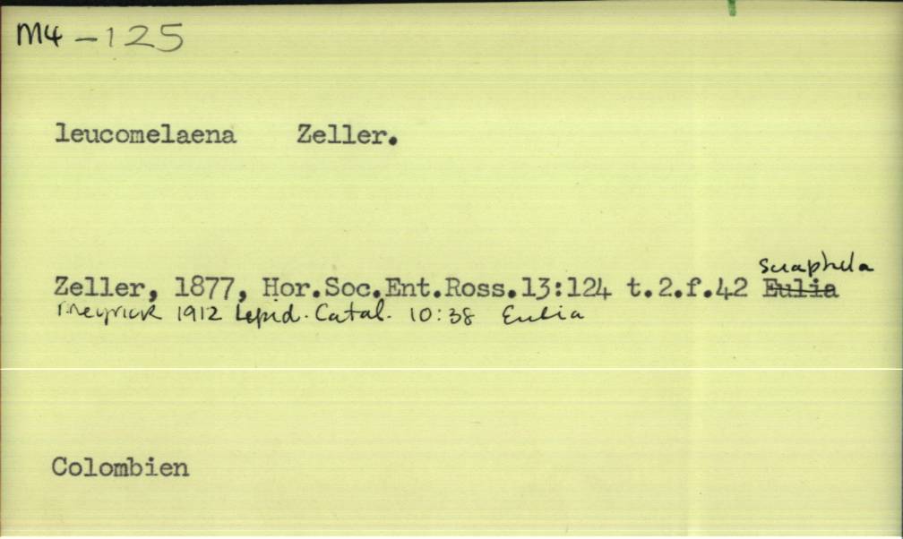 front of card